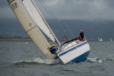 mallie 931c lrw11 9507